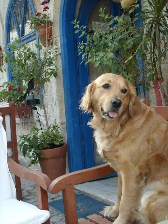 Nuans Hotel Alacati 3*,  Turquia